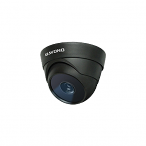 BAVONO BVA103BP-T