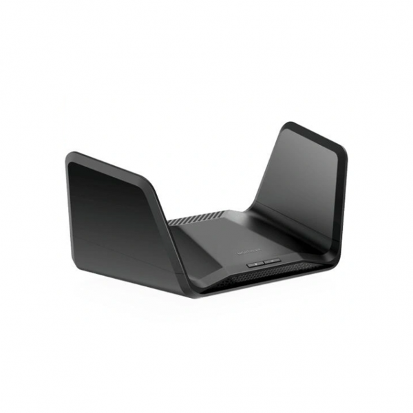 NETGEAR RAXE300