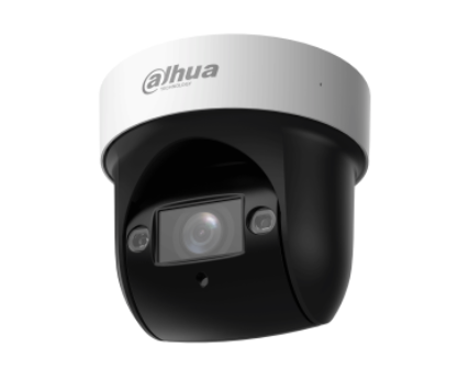 DAHUA SD29204DB-GNY-W