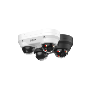 DAHUA IPC-HDBW2449F-AS-E2-IL