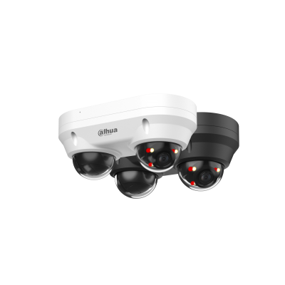 DAHUA IPC-HDBW2449F-AS-E2-IL