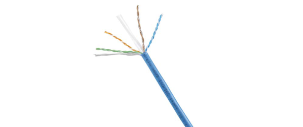 Panduit PANDUIT-P204138